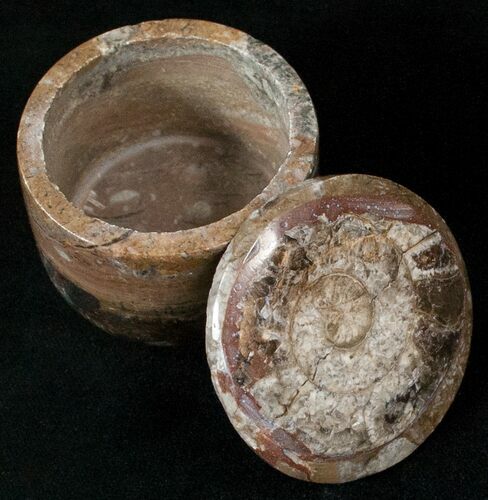 Small Fossil Goniatite Jar (Brown) - Stoneware #18012